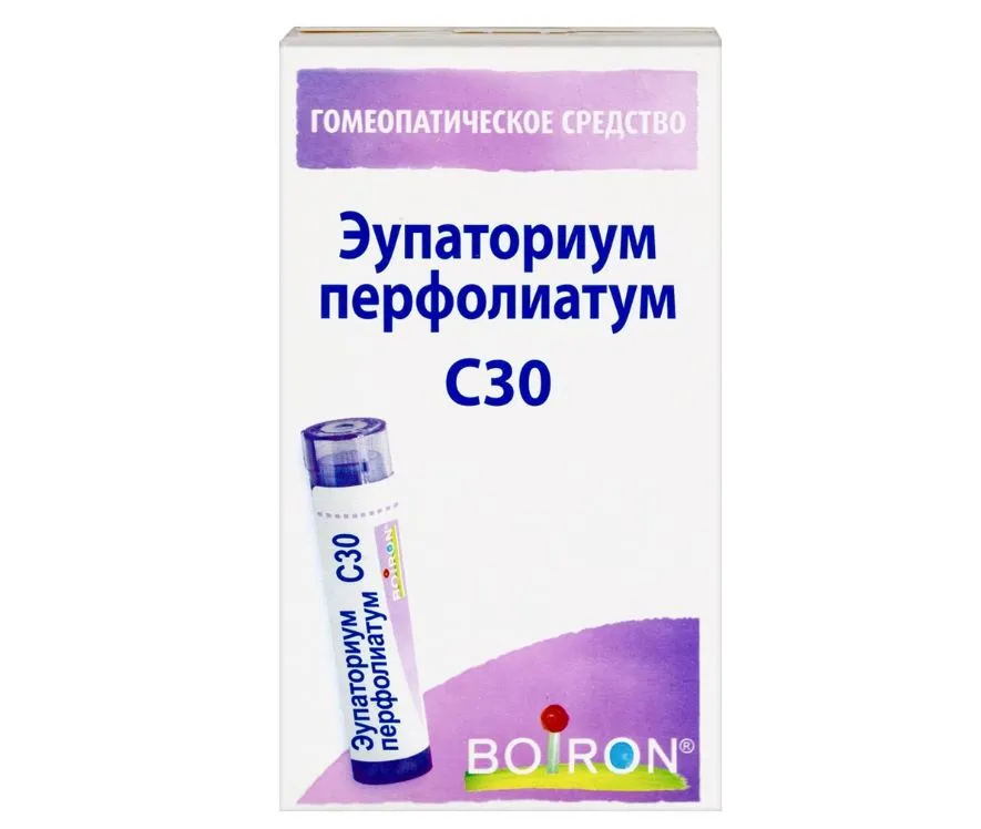 Эупаториум перфолиатум С30 гранулы 4г Франция Laboratories Boiron